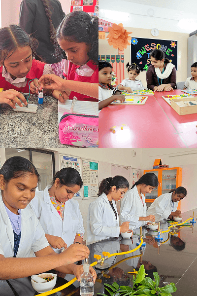 Students studying