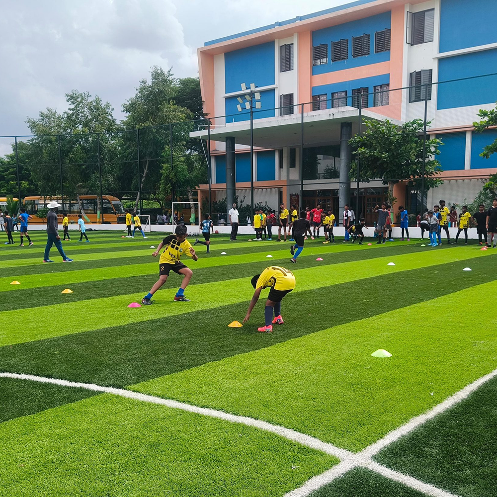 Sports
